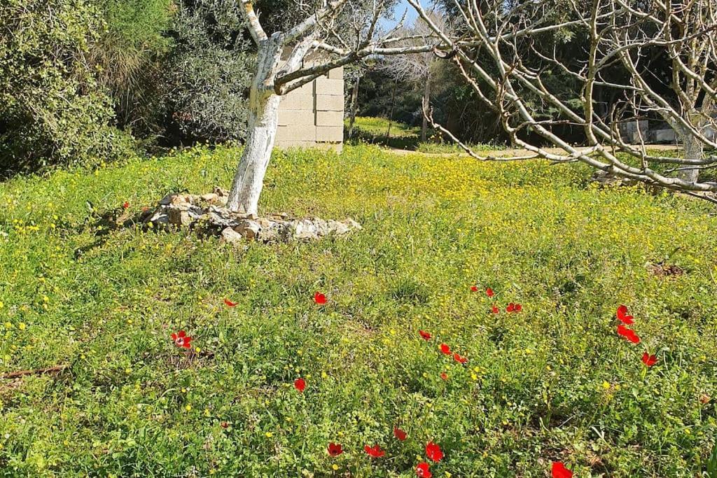 הבית ליד הבוסתן Mikhmannim Ngoại thất bức ảnh